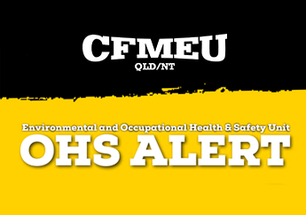 OHS ALERT LIFTING HOOK